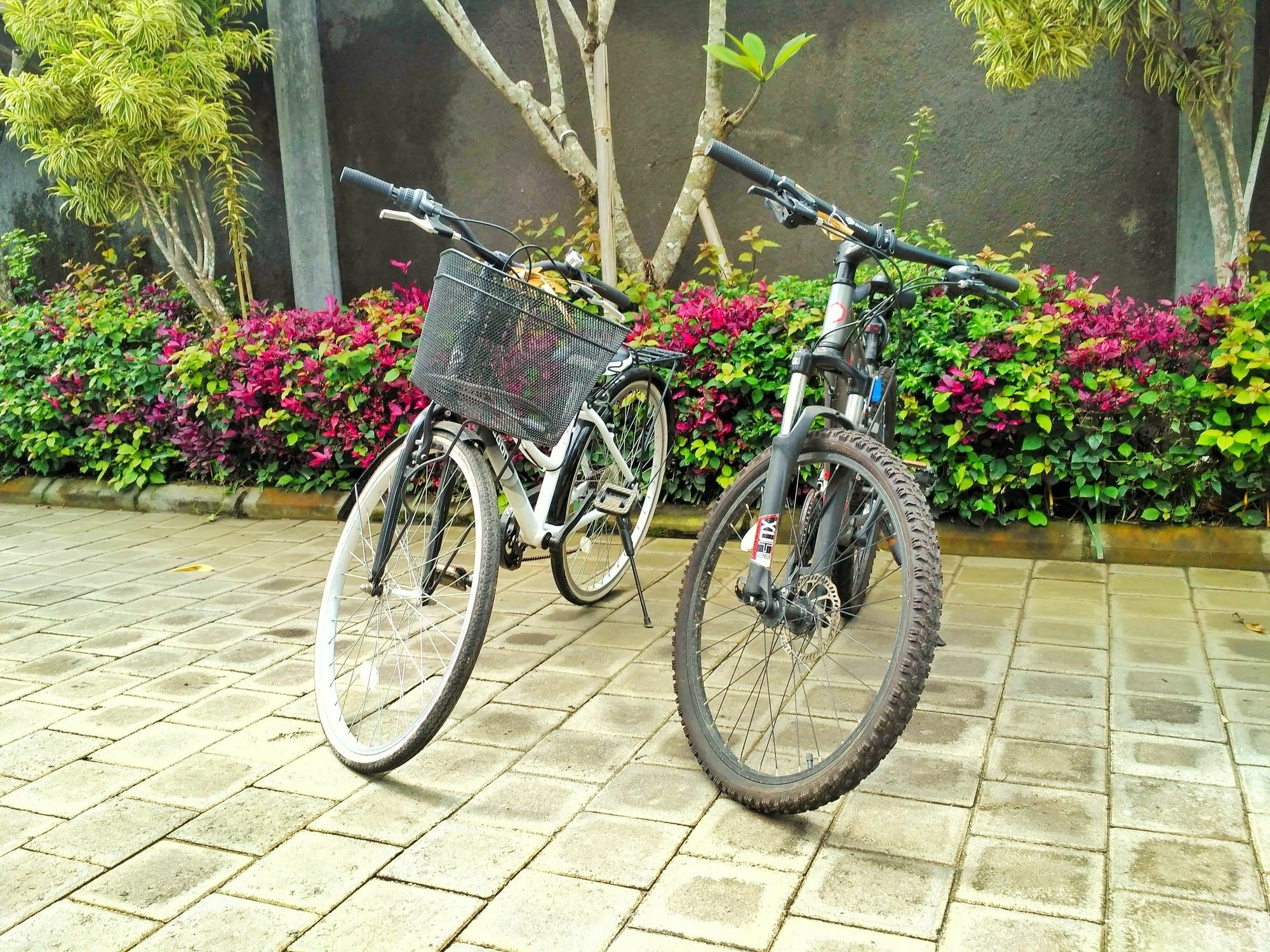 Amelle Villas & Residences Canggu Экстерьер фото